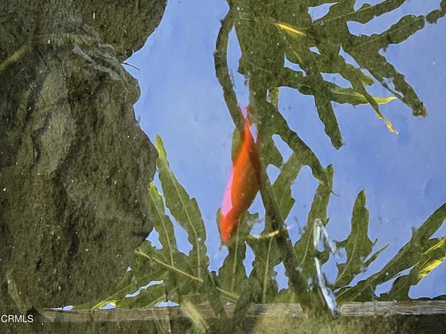 Detail Gallery Image 30 of 62 For 813 Santa Ana Bld, Oak View,  CA 93022 - 3 Beds | 2 Baths