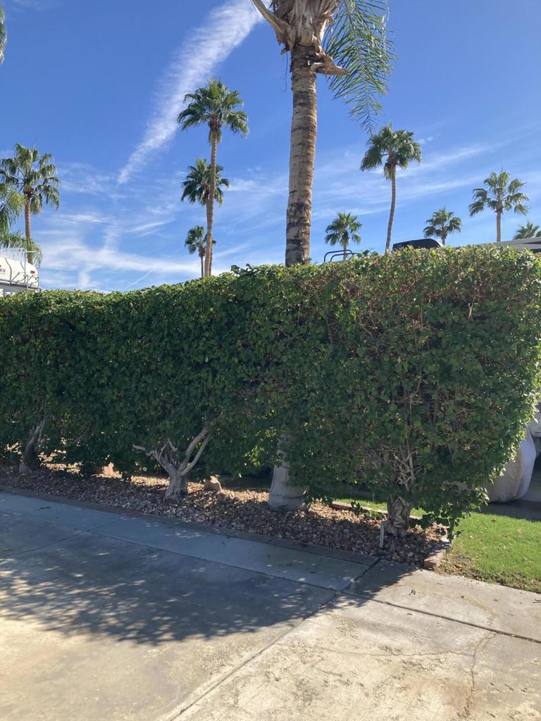 MLS #219135740DA image #6