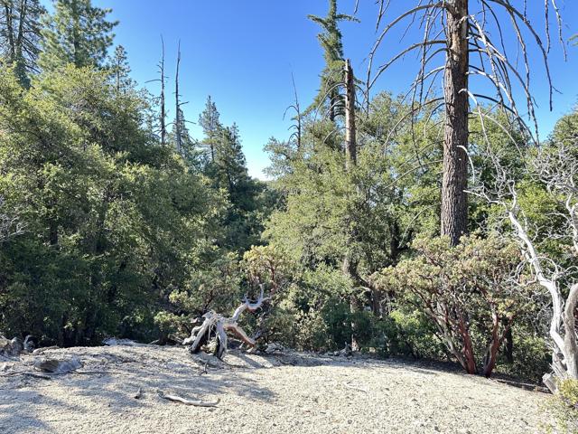 0 Mountain View, Idyllwild CA: https://media.crmls.org/mediaz/4e59c187-993b-4fa9-b557-57b5356a5b0e.jpg
