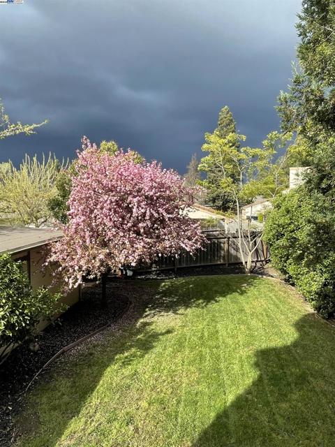 141 Ray St, Pleasanton CA: https://media.crmls.org/mediaz/4e674557-3aaa-40be-8723-0a571ca7ec62.jpg