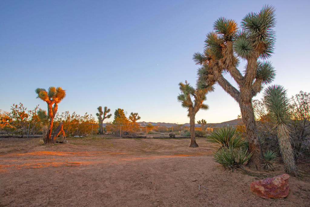 MLS #219138581DA image #22