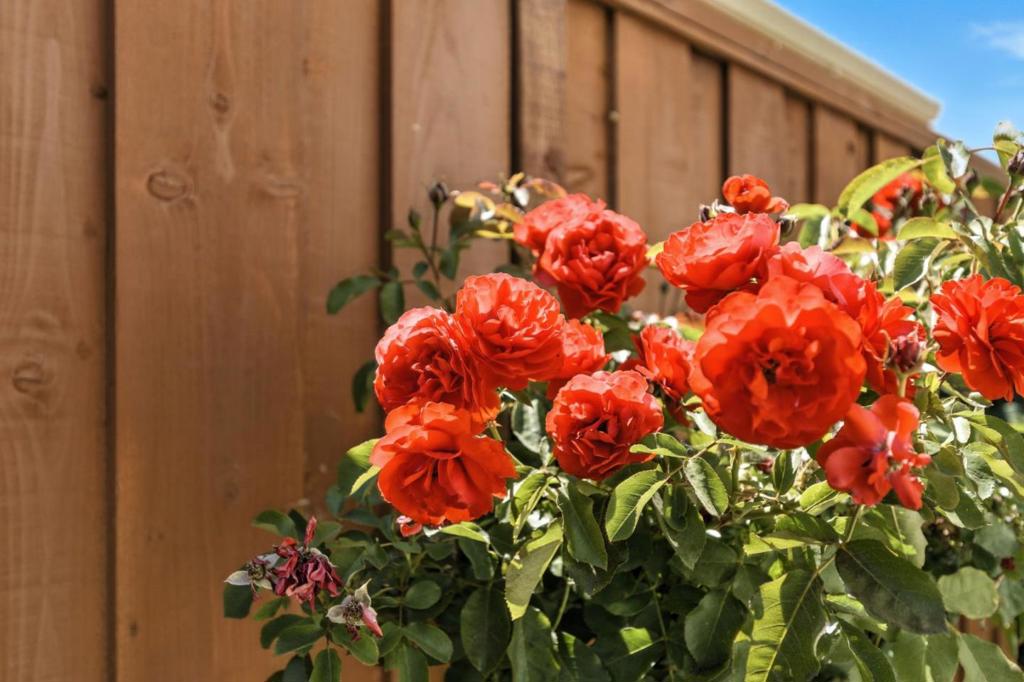 https://media.crmls.org/mediaz/4e6e19bd-8836-45cb-9ecf-4be82782bbd0.jpg?preset=X-Large