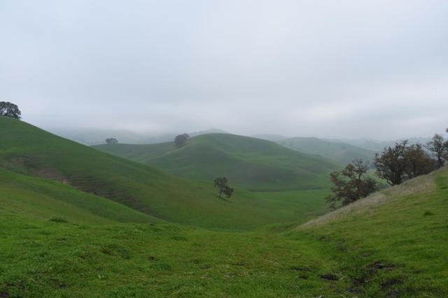 Image 18 of 23 For 1700 Finley Road