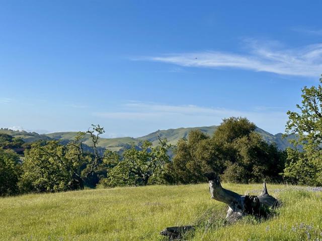8 Touche, Carmel CA: https://media.crmls.org/mediaz/4e74094a-2f9f-4e10-bb64-ed94d4ac8830.jpg