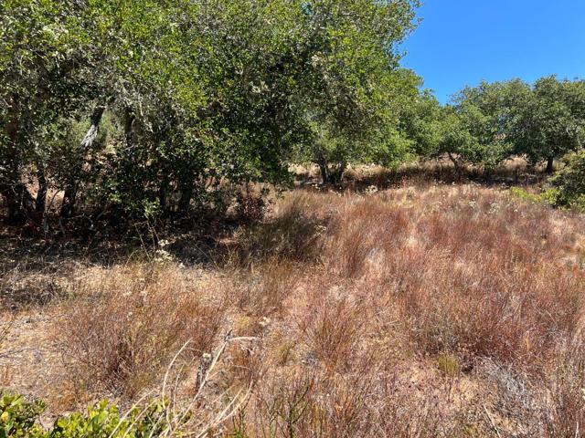 0 Country Club Heights, Carmel Valley CA: https://media.crmls.org/mediaz/4e84afac-a9a9-4254-bbbc-26b9f6f42059.jpg