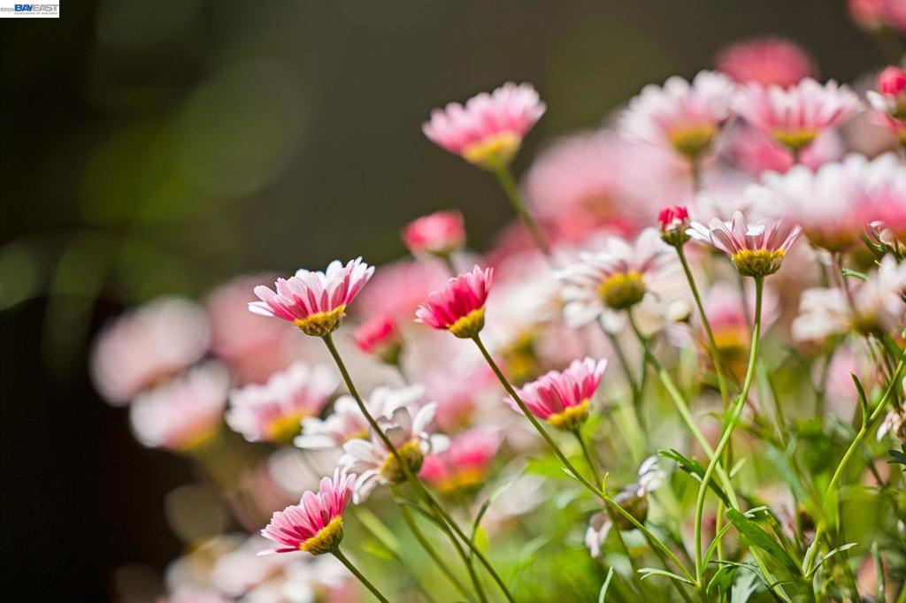 https://media.crmls.org/mediaz/4e8dfeff-a268-4bc4-a7af-c231a7deb399.jpg?preset=X-Large