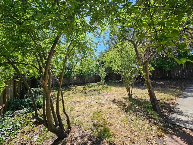 3234 Hoover Street, Redwood City CA: https://media.crmls.org/mediaz/4e92ed29-cd07-4d35-9c0d-d6deb6959d10.jpg