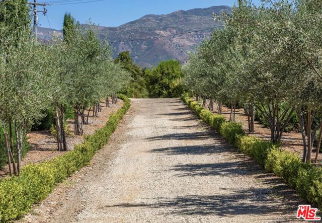 10999 Ojai Santa Paula Road, Ojai CA: https://media.crmls.org/mediaz/4e97e9cd-5b15-427a-9007-8e84f29f2ccf.jpg