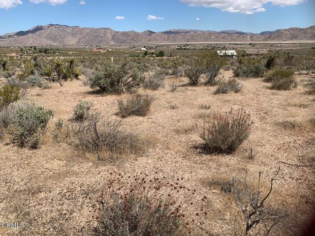 Detail Gallery Image 7 of 9 For 0 Mountain View Rd, Lucerne Valley,  CA 92356 - – Beds | – Baths