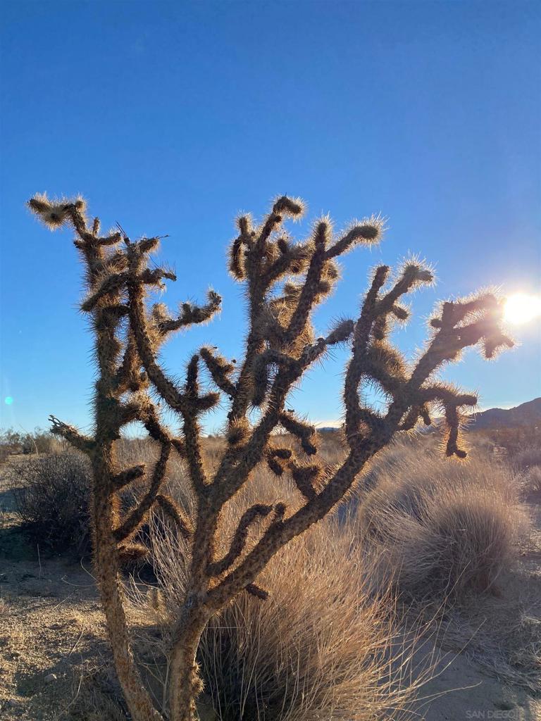 MLS #220000858SD image #8