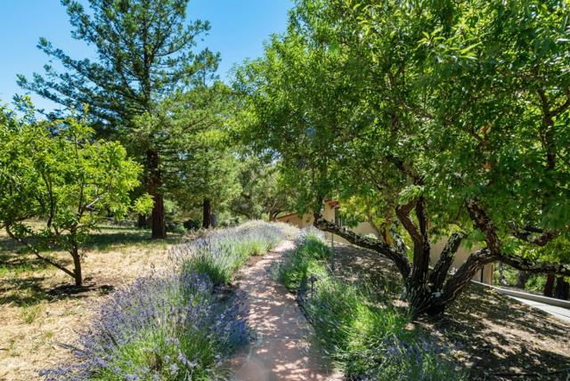 3773 Paul Sweet Road, Santa Cruz CA: https://media.crmls.org/mediaz/4eb2acbd-fe26-4676-a7be-5fe0cf2ba6b5.jpg