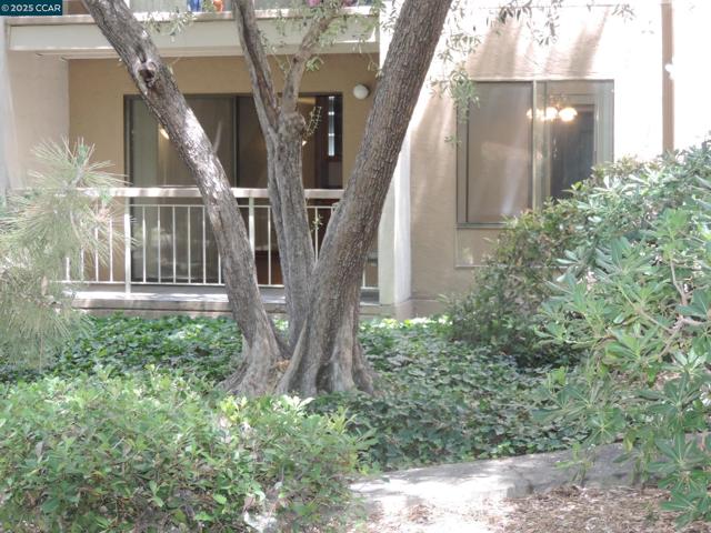 470 N Civic Dr., Walnut Creek CA: https://media.crmls.org/mediaz/4eb53e8c-fb0f-4fca-abde-1e3b6a1eadd0.jpg