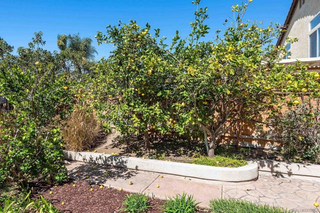 11996 Mil Pitrero Rd, San Diego, California 92128, 5 Bedrooms Bedrooms, ,3 BathroomsBathrooms,Single Family Residence,For Sale,Mil Pitrero Rd,250019981SD