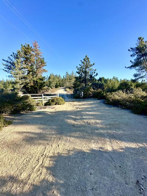 10001 West Drive, Felton CA: https://media.crmls.org/mediaz/4ec42826-168b-46bd-8b71-f07c9ea90594.jpg
