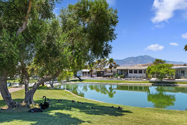 74711 Dillon Road, Desert Hot Springs CA: https://media.crmls.org/mediaz/4ec7b3f7-8bdc-4f91-aef1-d300c65c495b.jpg