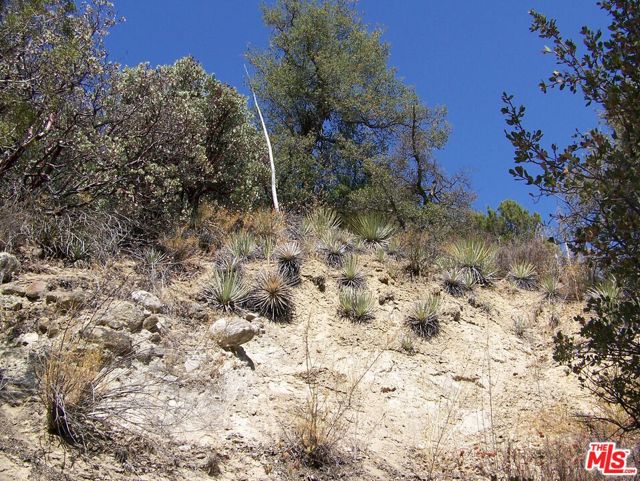 0 Apn 147-080-005, New Cuyama CA: https://media.crmls.org/mediaz/4ecade74-1f0d-45ed-996f-e8932c307063.jpg