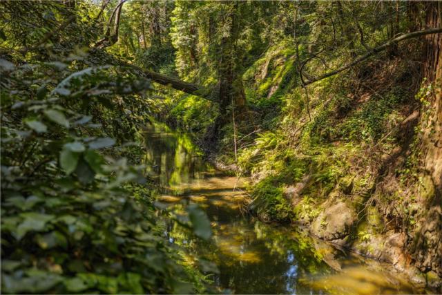 0 Highway 9, Boulder Creek CA: https://media.crmls.org/mediaz/4ece6e56-f935-4aa0-9d05-7959555c84d5.jpg
