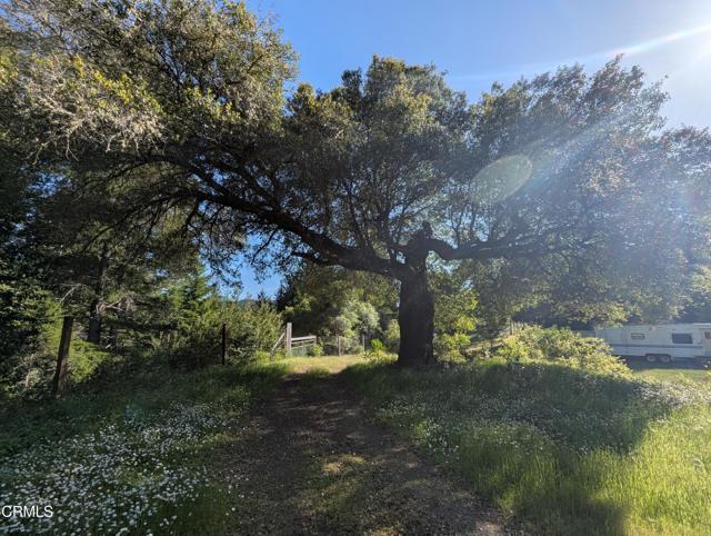 Detail Gallery Image 21 of 49 For 22346 Rickard Ranch Rd, Point Arena,  CA 95468 - – Beds | – Baths