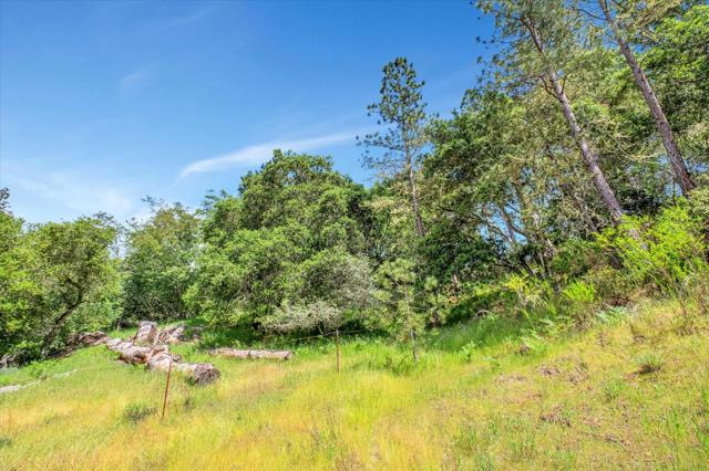 0 Zayante School Road, Felton CA: https://media.crmls.org/mediaz/4ed1bcbe-d59a-435d-a2f8-76f564f89995.jpg