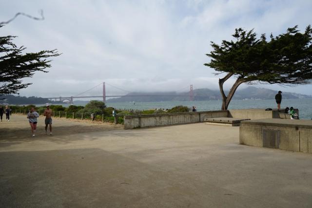 1921 Jefferson Street, San Francisco CA: https://media.crmls.org/mediaz/4ee0d04e-52c9-4921-a621-d7a0f430c41e.jpg