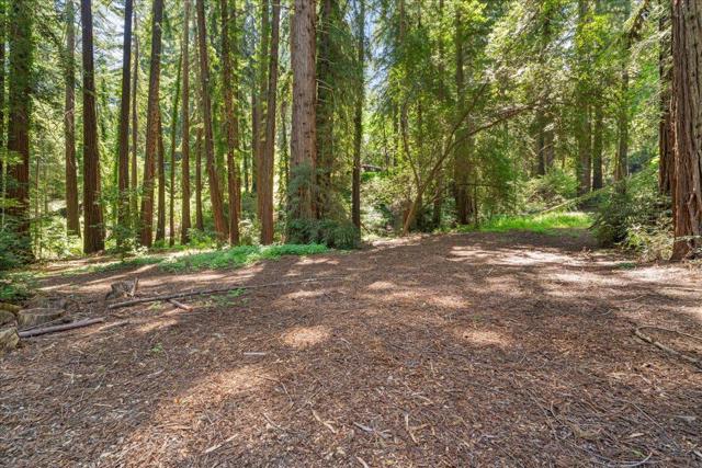 0 Grove Street, Los Gatos CA: https://media.crmls.org/mediaz/4ee688cd-c73c-4506-a3f7-d8721da695cf.jpg