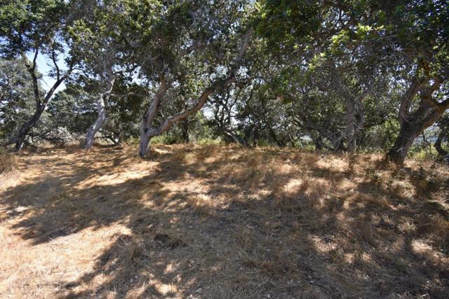 0 Alexander Lane, San Juan Bautista CA: https://media.crmls.org/mediaz/4ee6d3e0-1d3b-432f-9df7-bb38b69b4a18.jpg