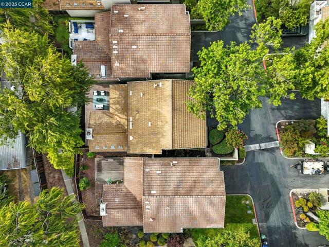 218 Jewel Ter, Danville CA: https://media.crmls.org/mediaz/4eec31bf-8e2b-43a4-9a45-c1c332933be3.jpg