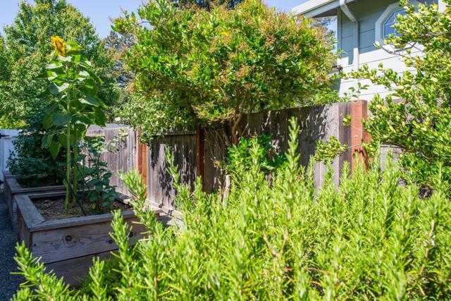 1360 Elder Avenue, Menlo Park CA: https://media.crmls.org/mediaz/4eee6d78-dfd5-4624-8129-1002344a014c.jpg