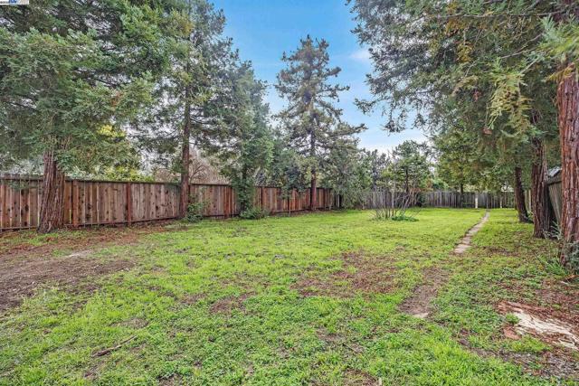 36517 Cherry St, Newark CA: https://media.crmls.org/mediaz/4ef0c1c7-566a-4daa-985b-ad902c772b11.jpg