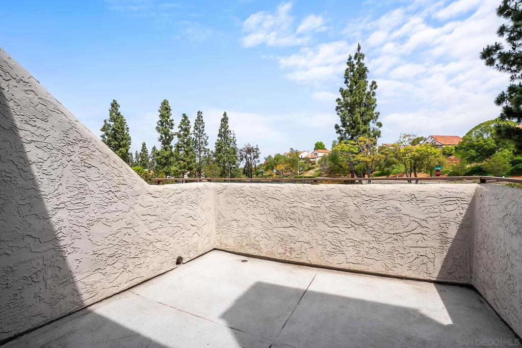 11875 Caminito Ronaldo - photo 14