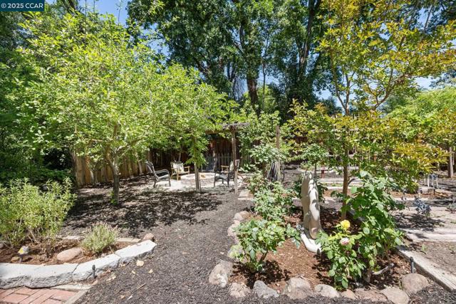 312 Soule Ave, Pleasant Hill CA: https://media.crmls.org/mediaz/4eff7db4-48fb-4c59-b59d-d7cef2b455ba.jpg