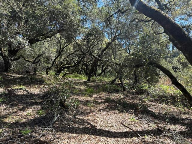 0 Hidden Glen Drive, Scotts Valley CA: https://media.crmls.org/mediaz/4f03773a-aeef-485c-b501-bed884a9f86d.jpg