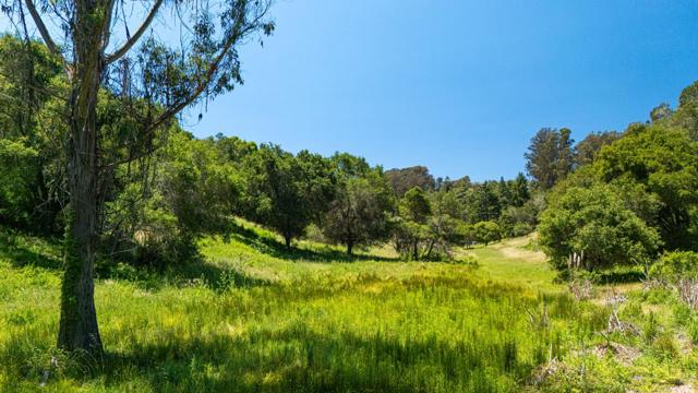 3554 Paul Sweet Road, Santa Cruz CA: https://media.crmls.org/mediaz/4f04a15e-d794-4491-8bb9-180fc19e0017.jpg