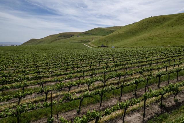 Image 14 of 17 For 38156 Elm Avenue