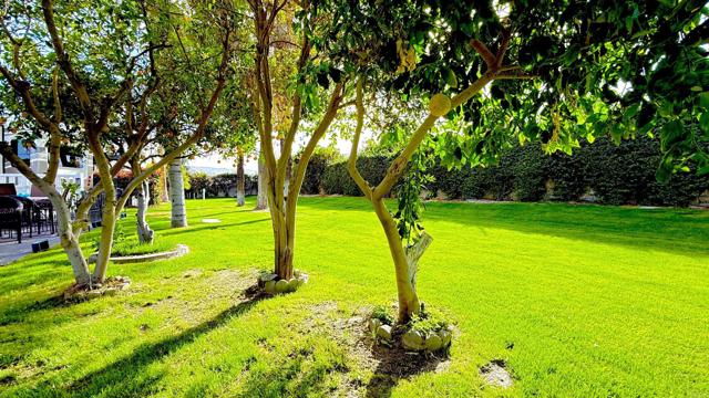 Image 5 of 14 For 69411 Ramon Rd #640