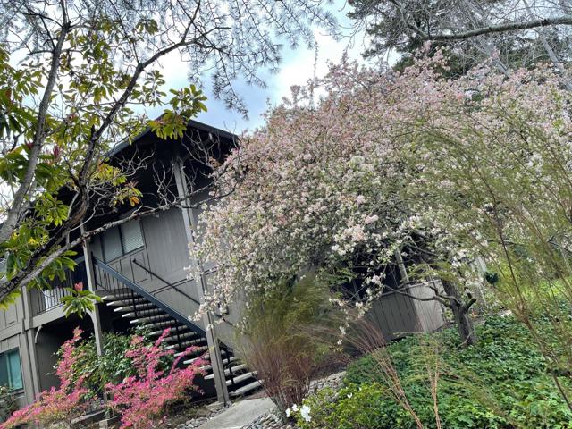14660 Big Basin Way, Saratoga CA: https://media.crmls.org/mediaz/4f368338-bac6-45ec-8039-67dcff312224.jpg