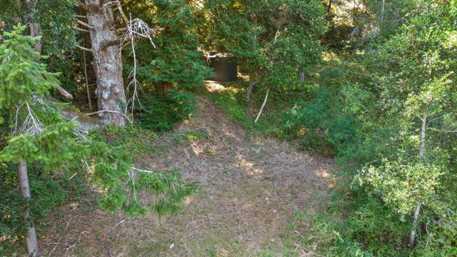 1239 La Madrona Drive, Santa Cruz CA: https://media.crmls.org/mediaz/4f3a0a9b-f895-447b-83db-96c0a1f36ee5.jpg