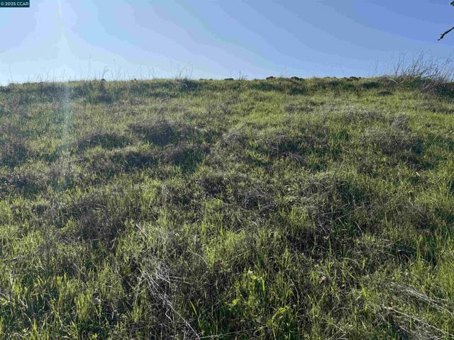 43 Cuesta way, Walnut Creek CA: https://media.crmls.org/mediaz/4f3f170e-17af-4bd3-938b-016b1d0ab85c.jpg