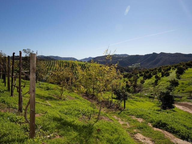 Detail Gallery Image 58 of 75 For 31702 Nira Ln, Bonsall,  CA 92003 - 4 Beds | 3 Baths