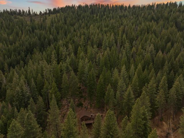 2120 Pack Trail, Mount Shasta CA: https://media.crmls.org/mediaz/4f4ed062-dd59-4e10-a17c-7f86e44e90e0.jpg