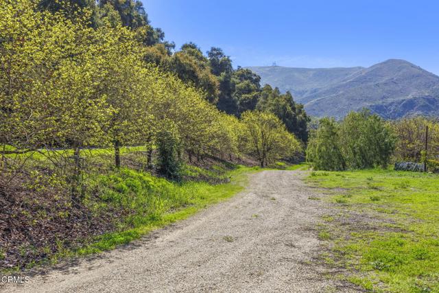 4620 Casitas Pass Road, Ventura CA: https://media.crmls.org/mediaz/4f538171-ed0a-4e62-b915-f5f7b9d8bbee.jpg