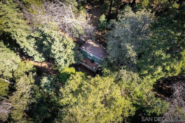 22230 Crestline Rd, Palomar Mountain CA: https://media.crmls.org/mediaz/4f58ed24-d6a0-4c0d-84b1-c571cca0ba76.jpg
