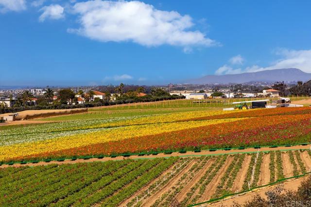 Detail Gallery Image 5 of 25 For 4942 Spirea Way, Carlsbad,  CA 92008 - 4 Beds | 3/1 Baths