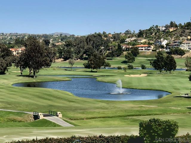 2005 Costa Del Mar Rd, Carlsbad CA: https://media.crmls.org/mediaz/4f66b377-5413-4194-8a5c-3edcc4b5bd79.jpg