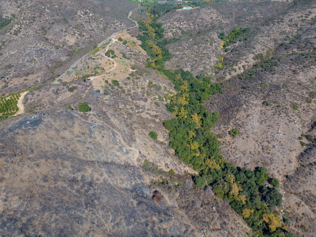 MLS #250022588SD img 6