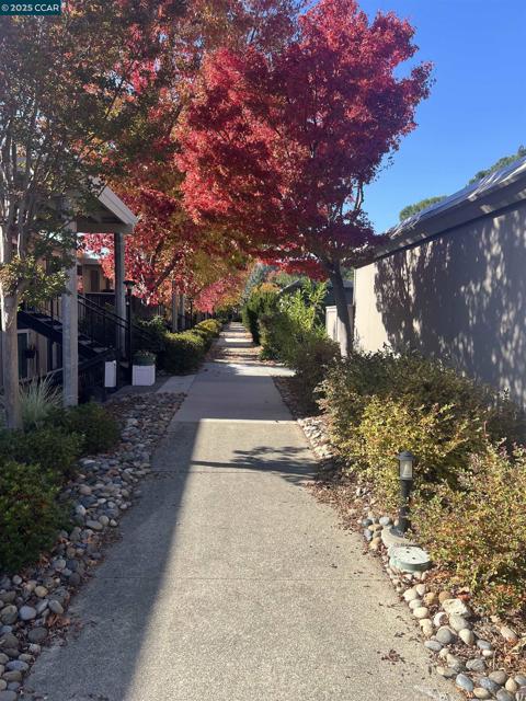 2101 Golden Rain, Walnut Creek CA: https://media.crmls.org/mediaz/4f743ae5-1f4a-48eb-93d7-4f6b36ed8336.jpg