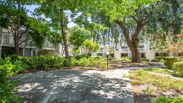 2600 Oak Road, Walnut Creek CA: https://media.crmls.org/mediaz/4f7818da-14f4-4d6a-9cd6-8175c02c7d0e.jpg