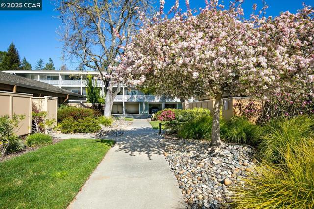1816 Golden Rain, Walnut Creek CA: https://media.crmls.org/mediaz/4f78d39e-5e1c-49c0-87f0-bf1634d38d34.jpg