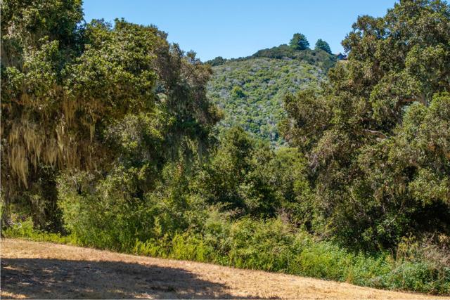 4 Goodrich Trail (Lot E13), Carmel CA: https://media.crmls.org/mediaz/4f82edfc-8921-4007-a131-7c7ad7c56856.jpg