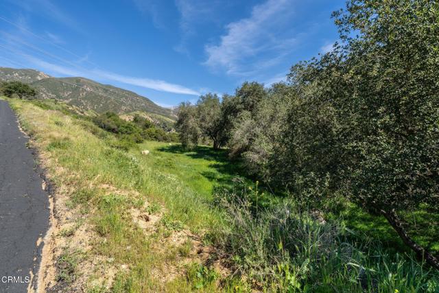 Detail Gallery Image 18 of 45 For 4700 Rising Hill Rd, Altadena,  CA 91001 - – Beds | – Baths